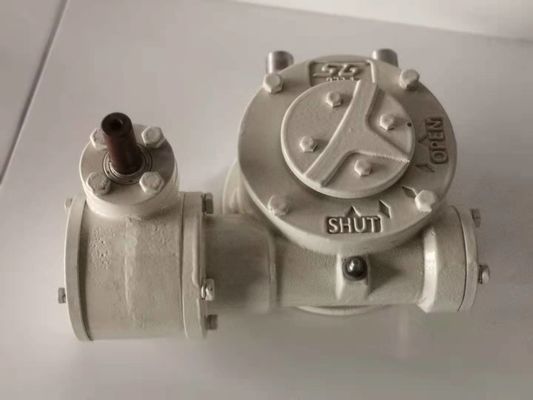 IP67 Rated Worm Gear Operators Used For Network Of Underground With Nodular Cast Iron